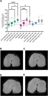 Enlarged colony housing promotes linear progression of subchondral bone remodeling in joint instability rat models